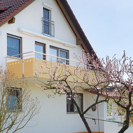 Appartamento Enderle Uhldingen-Mühlhofen Esterno foto